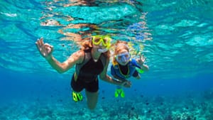Dolphin Snorkel Tour